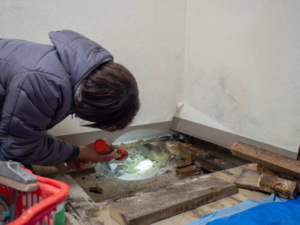 Asbestos and Lead Testing During Mold Inspection in Joshua, TX